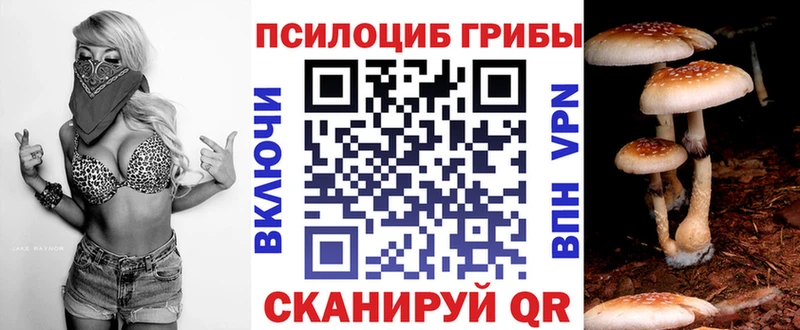 наркошоп Балаково Псилоцибиновые грибы Psilocybine cubensis